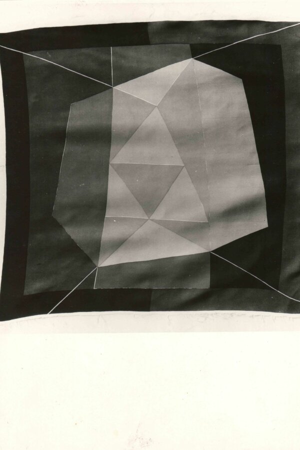 Fotografie: Bedřich Petrovan, Brno – Botanická 8